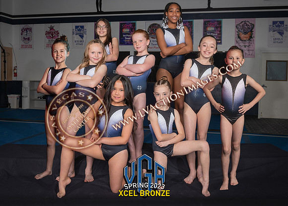 XCelBronze_5x7 copy