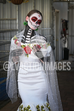 20261003_LaCatrina_233