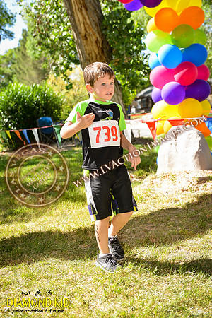 20150606_DK-888