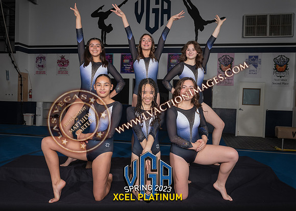 XLPlatinum_5x7 copy