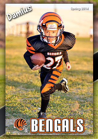 MCarter_Portfolio114
