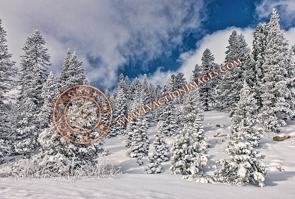 20151127_MtRose-24a