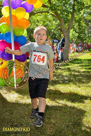 20150606_DK-802