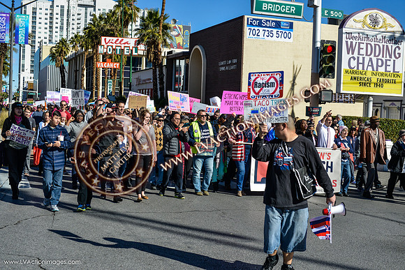20170121_WomensMarchLV-022
