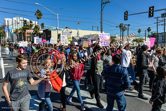 20170121_WomensMarchLV-032