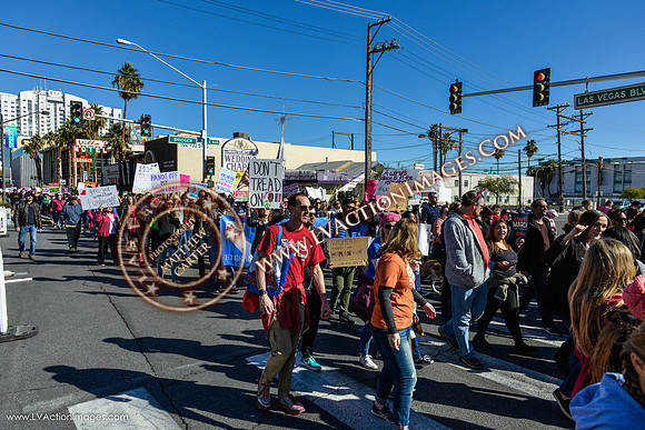 20170121_WomensMarchLV-033