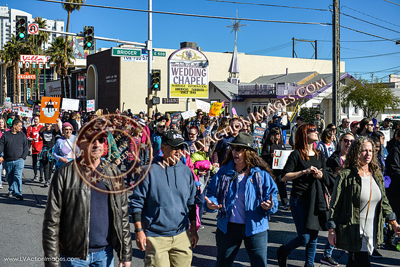 20170121_WomensMarchLV-038