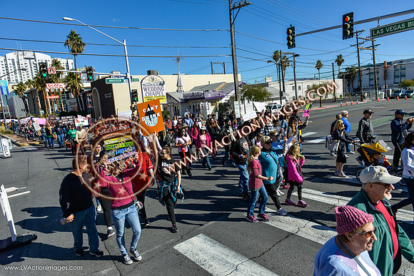 20170121_WomensMarchLV-040