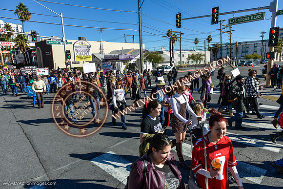 20170121_WomensMarchLV-043
