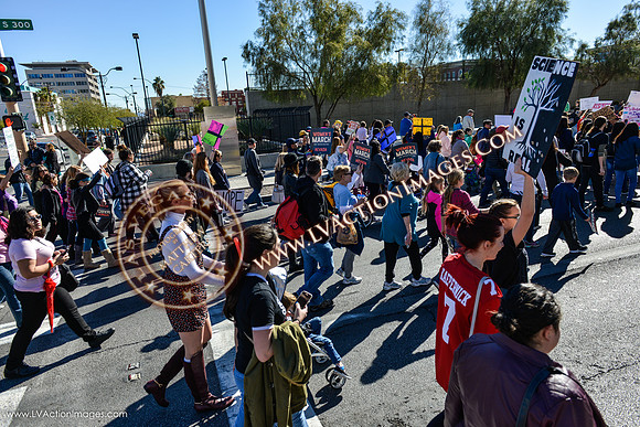 20170121_WomensMarchLV-045