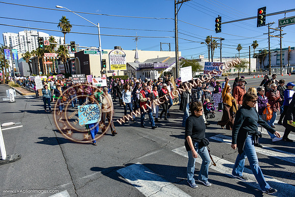 20170121_WomensMarchLV-046
