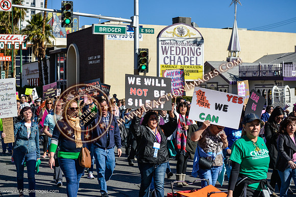 20170121_WomensMarchLV-047