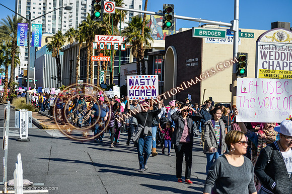 20170121_WomensMarchLV-051