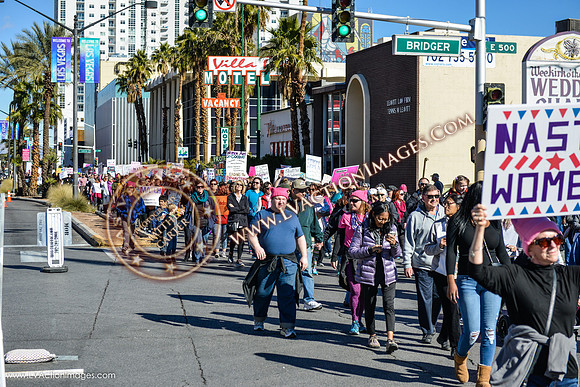20170121_WomensMarchLV-053