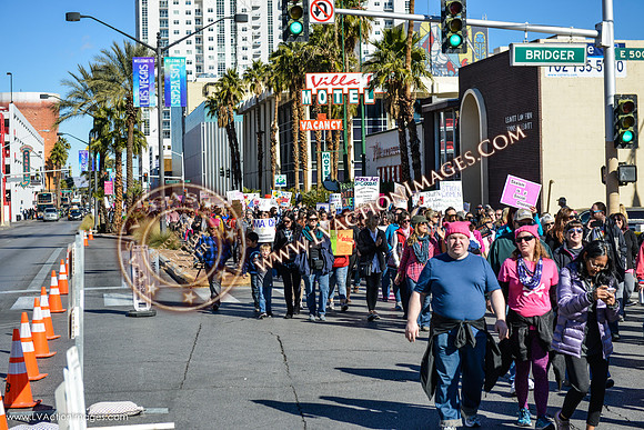 20170121_WomensMarchLV-054