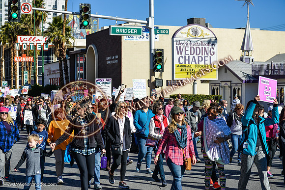 20170121_WomensMarchLV-055