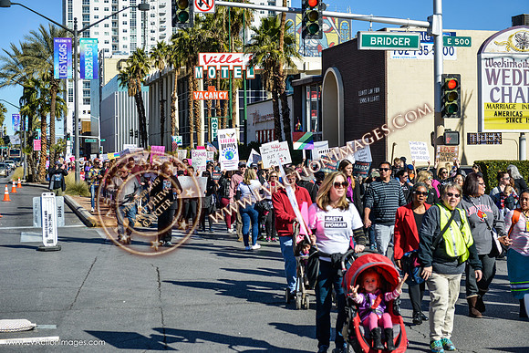 20170121_WomensMarchLV-063