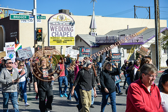 20170121_WomensMarchLV-067