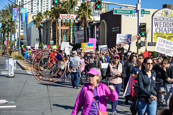 20170121_WomensMarchLV-076