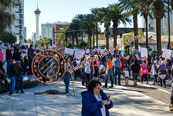 20170121_WomensMarchLV-078