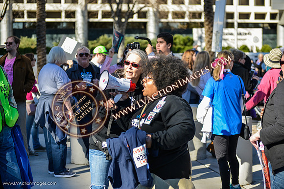 20170121_WomensMarchLV-099