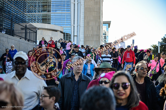 20170121_WomensMarchLV-101