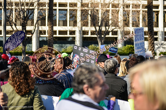 20170121_WomensMarchLV-107