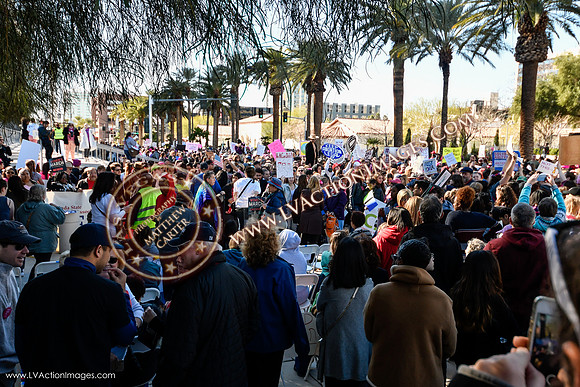 20170121_WomensMarchLV-109