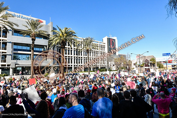 20170121_WomensMarchLV-110