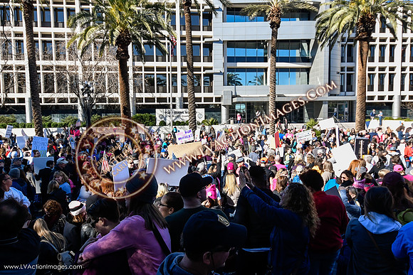 20170121_WomensMarchLV-111