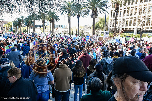 20170121_WomensMarchLV-113