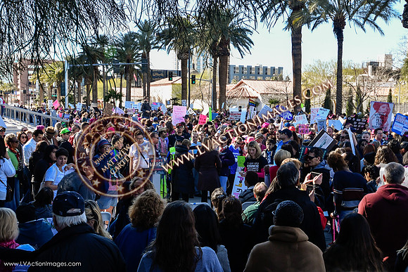 20170121_WomensMarchLV-114