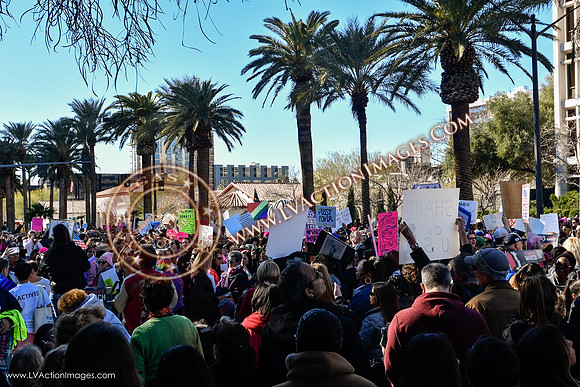 20170121_WomensMarchLV-119