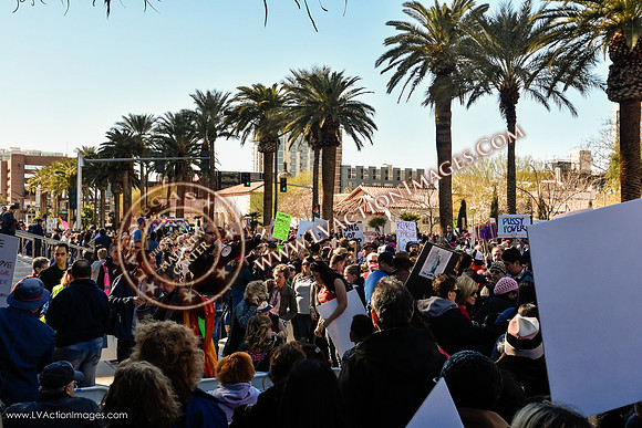 20170121_WomensMarchLV-125