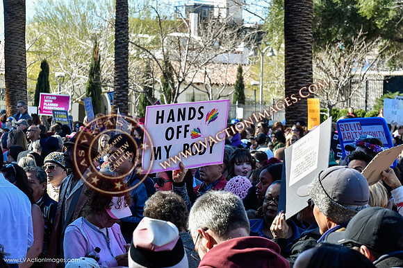 20170121_WomensMarchLV-137