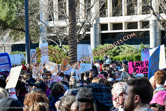 20170121_WomensMarchLV-139