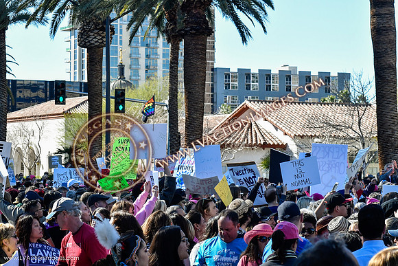 20170121_WomensMarchLV-140