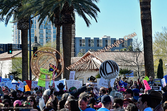 20170121_WomensMarchLV-143
