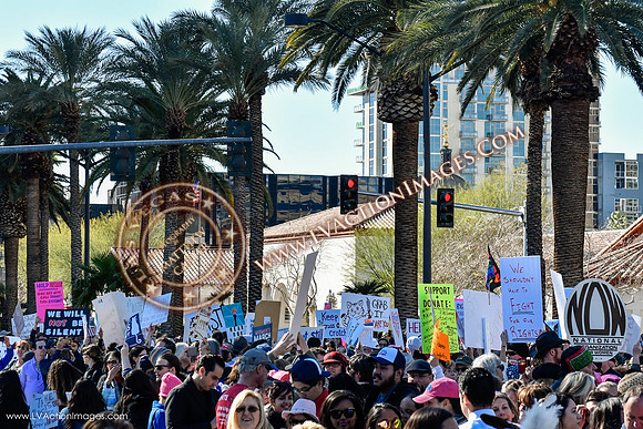 20170121_WomensMarchLV-145