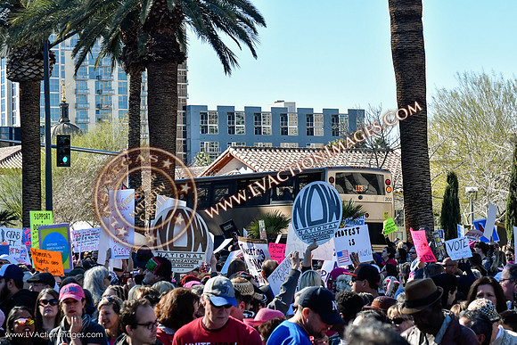 20170121_WomensMarchLV-149