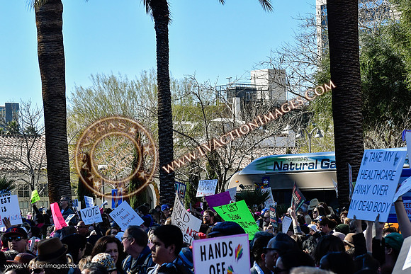 20170121_WomensMarchLV-150