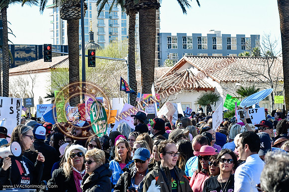 20170121_WomensMarchLV-152