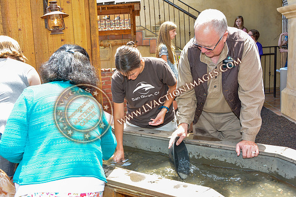 20140729_GC-0067