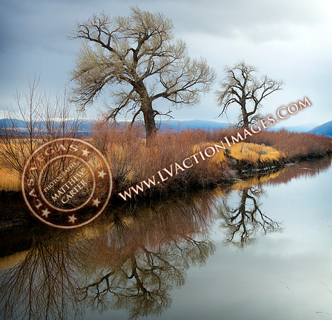 20171120_CarsonValley1a