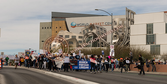 20180324_MARCHfourourLives065