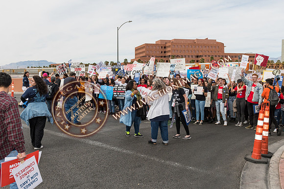 20180324_MARCHfourourLives118