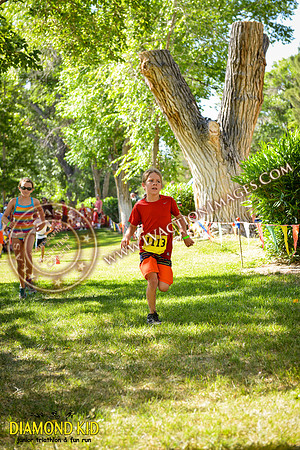 20150606_DK-390