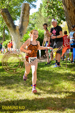 20150606_DK-2062