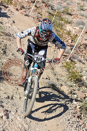 20140118_NVDHChampDHP-540