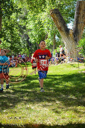 20150606_DK-870